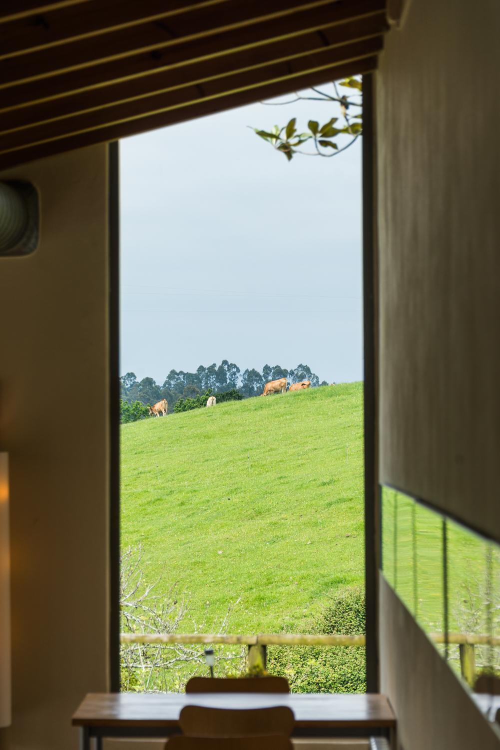 Hotel El Babu Caravia Ngoại thất bức ảnh