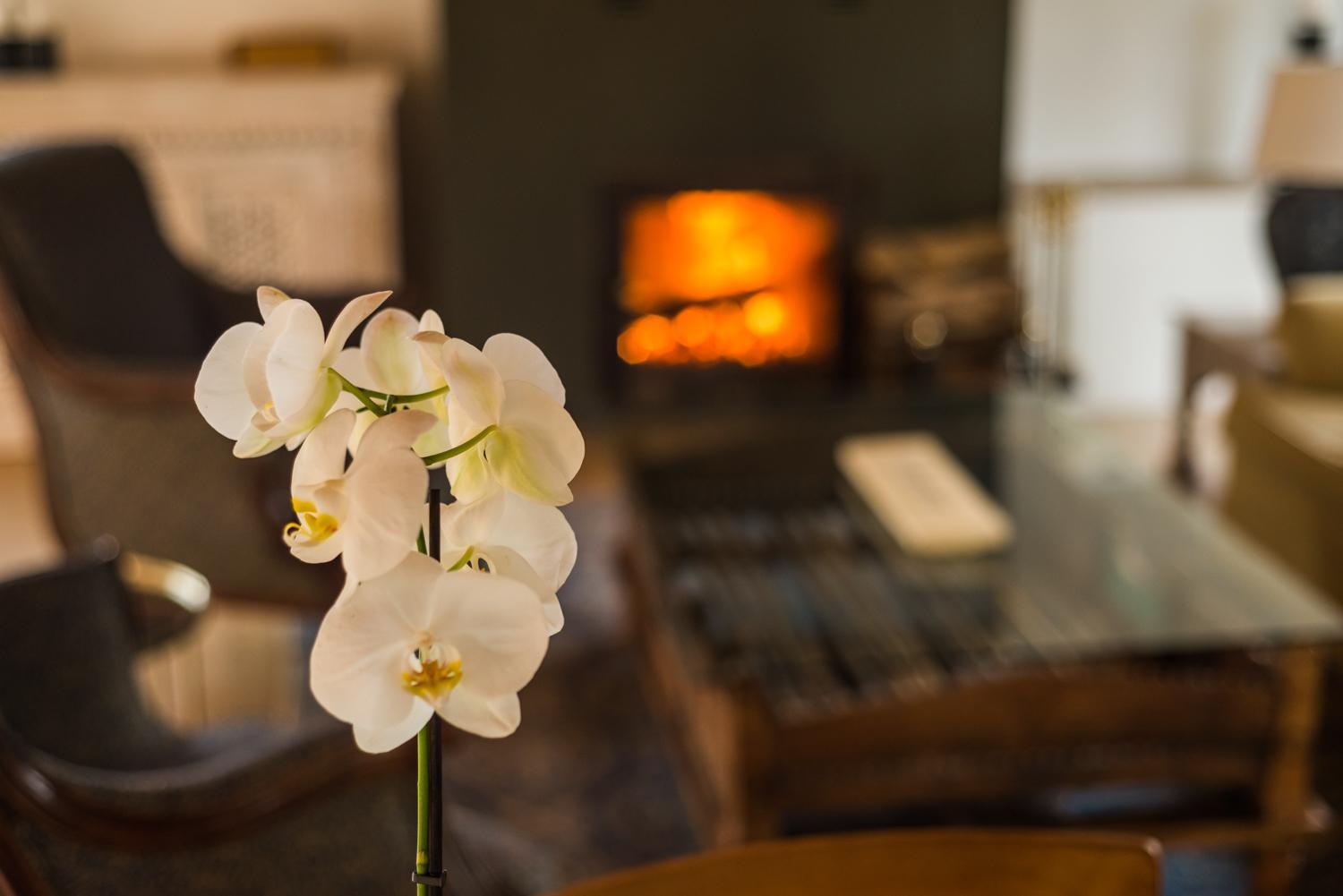 Hotel El Babu Caravia Ngoại thất bức ảnh